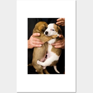 Dog hugging Posters and Art